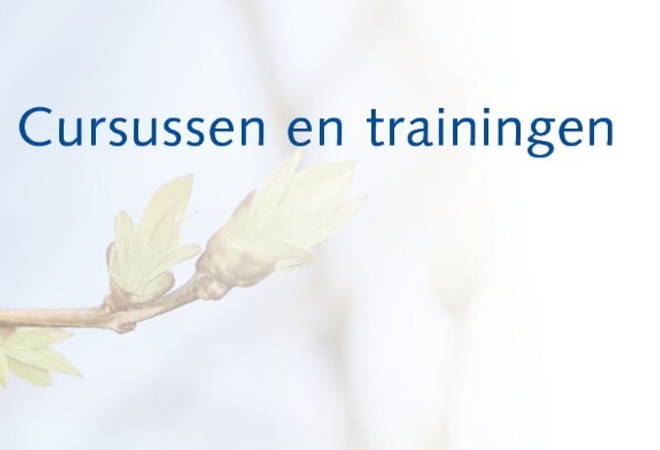 Begin maken met herstel | Zomer 2024